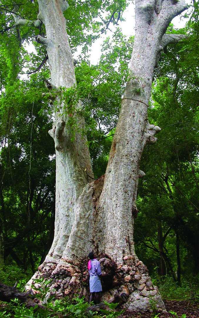 Превью Арджун